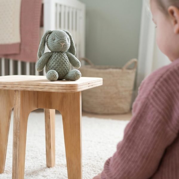KoaMally Kids Independence Stool